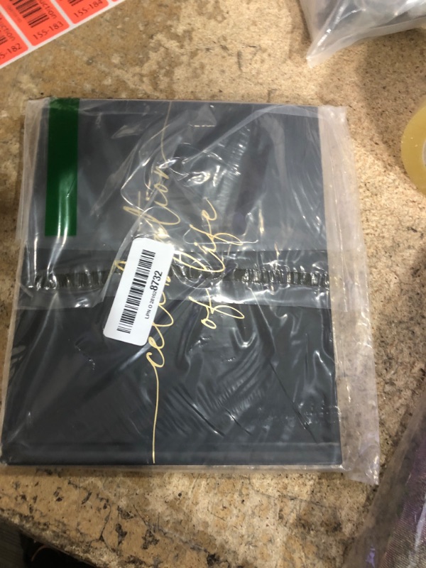 Photo 1 of Lamare Funeral Guest Book for Memorial Service - in Loving Memory Funeral Guest Book | Celebration of Life Guest Book with Memory Table Sign & Back Pocket - Guest Sign in Book for Funeral Service