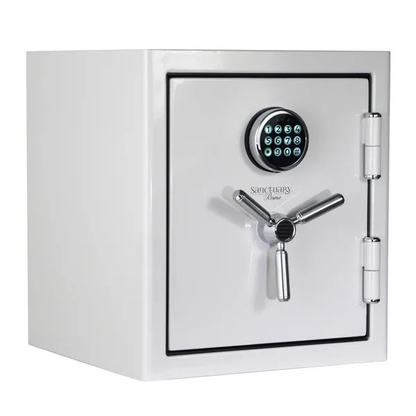 Photo 1 of Sanctuary Reserve 1.69 cu. ft. Home & Office Safe with Electronic Lock