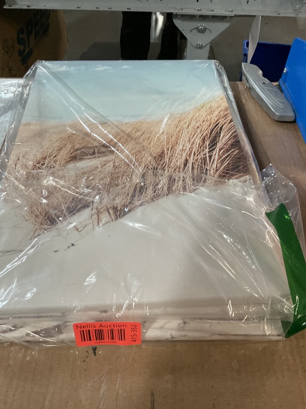 Photo 1 of Coastal Beach Canvas Wall Art: Pathway to Shoreline Artwork Painting on Canvas for Office or Bedroom (16'' x 12'' x 3 Panels)