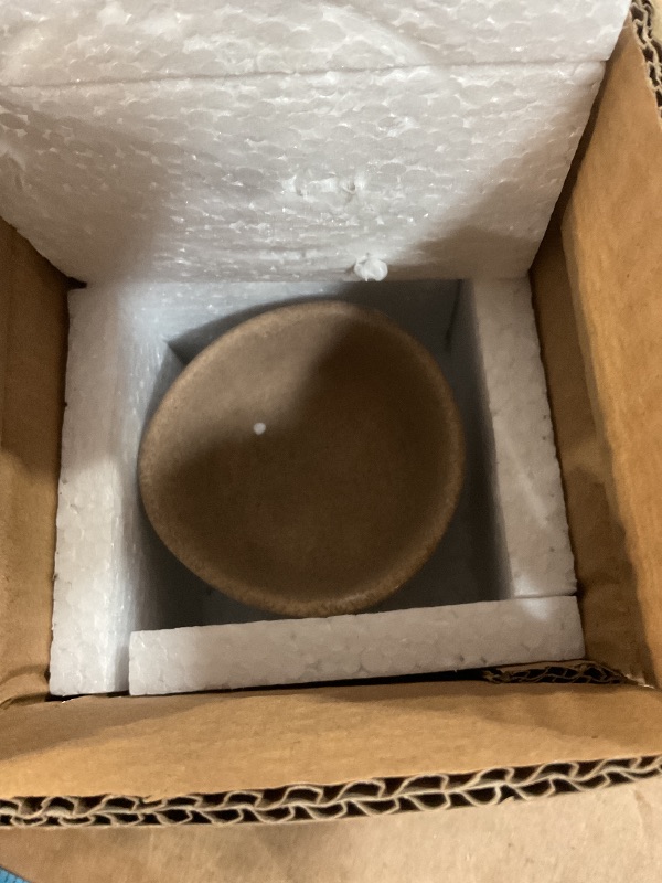Photo 1 of Creative Co-Op Boho Terracotta Footed Planter, Distressed Cream