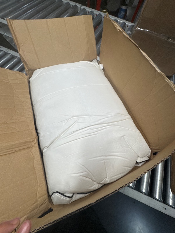 Photo 1 of ** USED ** DWR Goose Feather Down Core Pillow Surrounded by Polyester 2 Pack, 100% Organic Cotton Covered, Medium Support, Queen Size Bed Pillow Inserts(20x30, Set of 2)