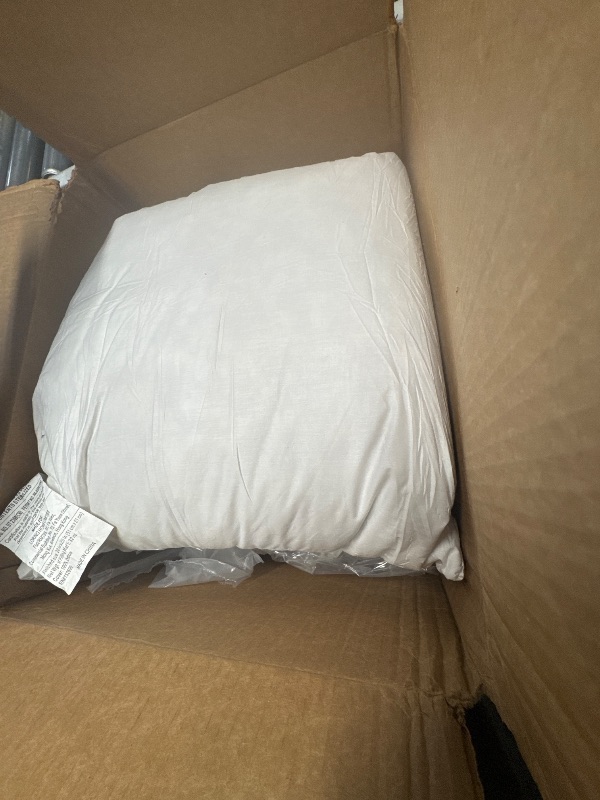 Photo 1 of (FAIR/USED) basic home 20x20 Decorative Throw Pillow Inserts-Down Feather Pillow Inserts-Square-Cotton Fabric-Set of 2-White.