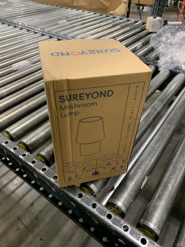 Photo 1 of SUREYOND Mushroom Lamp?White?