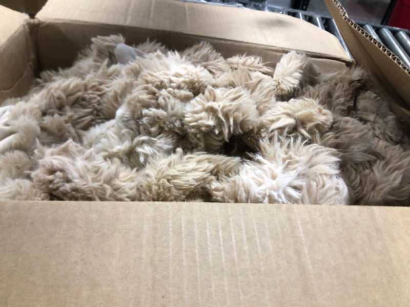 Photo 1 of FLUFFY BLANKET 