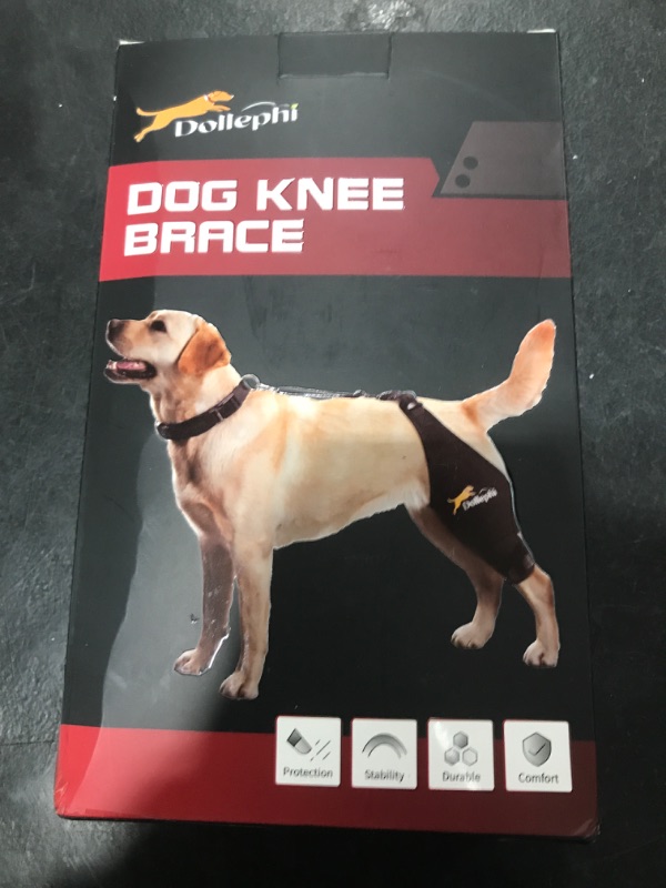 Photo 1 of Dollephi Dog Knee Brace for Torn ACL Hind Leg, Hot/Cold Compress for Patella Dislocation or Osteoarthritis, Cruciate Ligament Injuries, for Medium & Large Dogs(Right Leg,XL)