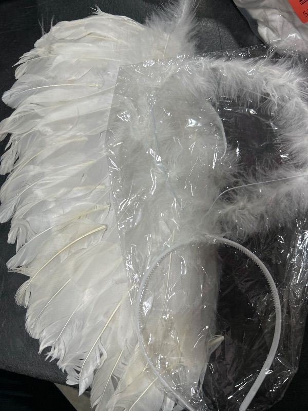 Photo 1 of ANGEL WINGS 