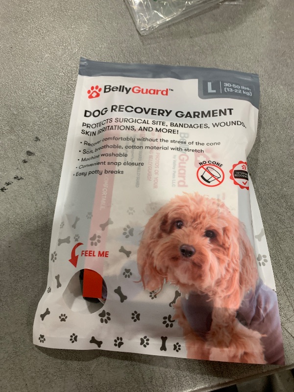 Photo 1 of BellyGuard Recovery Suit for Dogs, Comfy Dog Surgery Suit, Female Spay and Male Neuter Onesie for Post-Op Care L