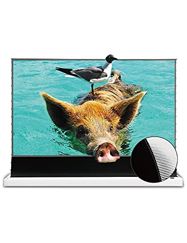 Photo 1 of VIVIDSTORM Projection Screen S PRO 110 inch Ultra-Short Throw Ambient Light Rejecting 4k Screen, Suitable for UST Laser Projector, Floor Tab-Tensioned

