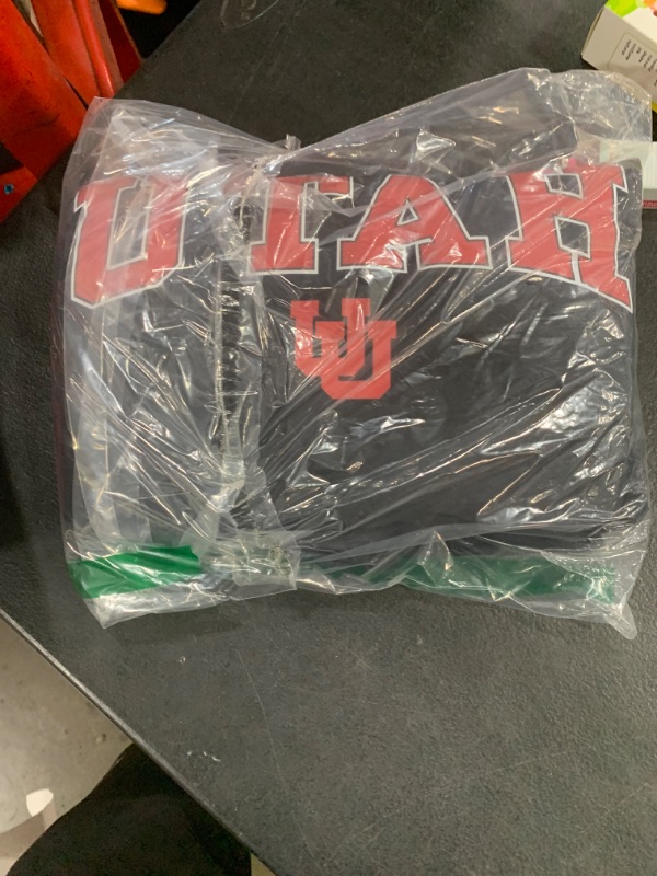 Photo 1 of utah hoodie