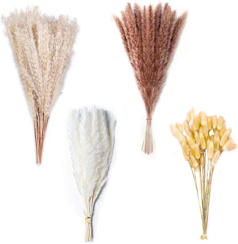Photo 1 of 75PCS Natural Dried Pampas Grass Decor 