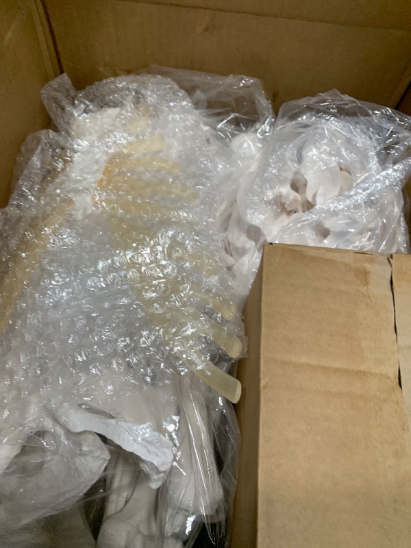 Photo 1 of Benilev Disarticulated Human Skeleton Model for Anatomy, Full Size 67'' Skeleton with 200+ Bones Structures 3 Poster Skull Spine Bones Articulated Hand & Foot, for Anatomy Medical Learning