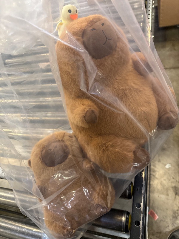 Photo 1 of  Stuffed Animals