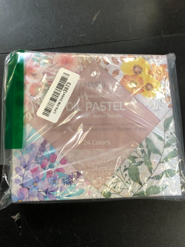 Photo 1 of HA SHI Water Soluble Oil Crayons For Artists 24 Color, Watercolor Crayons, Oil Pastels, Premium Quality Art Supplies for Kids, Adults - Blendable, Vibrant Hues, Korean Craftsmanship