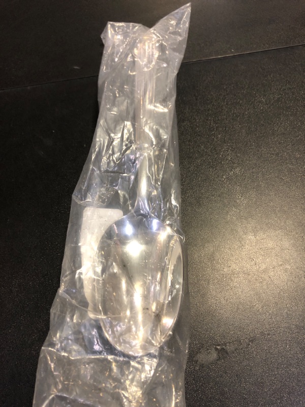 Photo 1 of Fortessa Doria 18/10 Stainless Steel Flatware Serving Spoon, 9-Inch,Silver