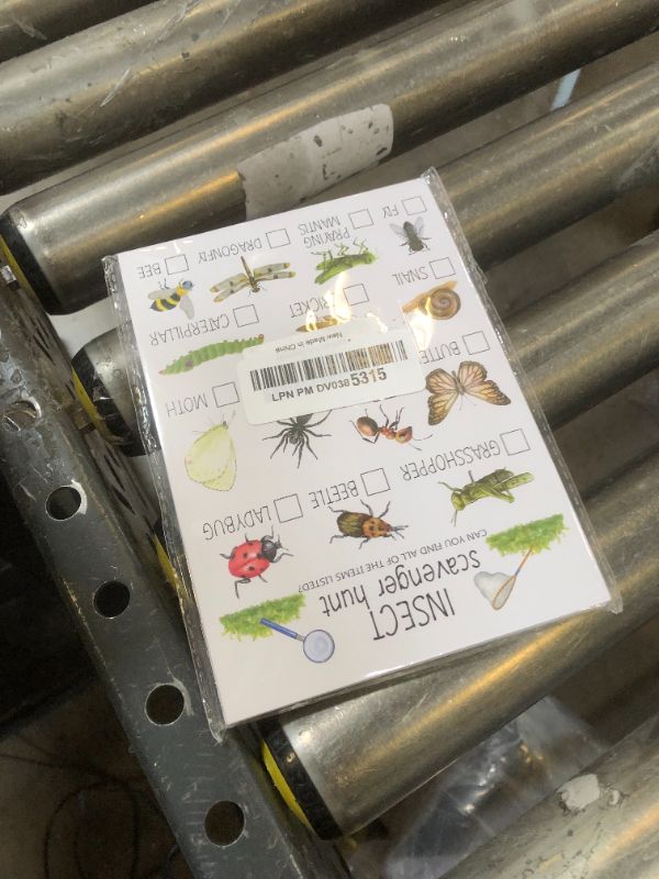 Photo 1 of ltazhyi Insect Scavenger Hunt Cards Set of 30 Pcs, Nature Treasure Hunt Game for Family Friends, Outdoor Holiday Party Game Find and Seek Camping Activity -03