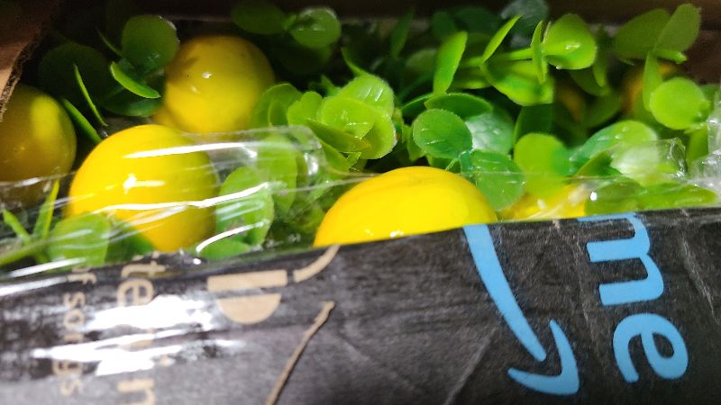 Photo 1 of 4 Sets Blue Tiles Lemon Table Centerpiece Decor Box and 16 Artificial Lemon Branches Amalfi Coast Capri Positano Lemon Party Supplies for Capri Mediterranean Wedding Birthday Baby Shower Party Decor