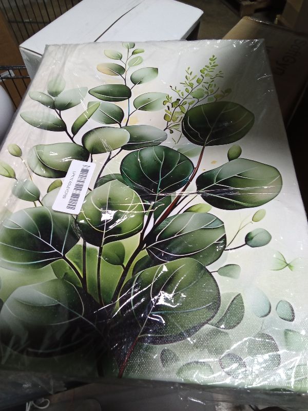 Photo 1 of 3 Pcs Green Plant Leaves Wall Art Eucalyptus Flower Canvas Wall Decor Pictures Farmhouse Vintage Country Botanical Posters Prints for office Bathroom Bedroom Decoration