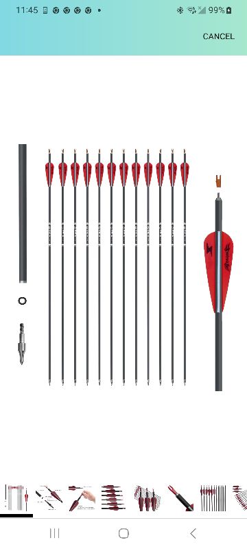 Photo 1 of 31inch Carbon Arrow Archery Targeting Practice Hunting Arrows for Compound & Recurve Bow with Removable Tips(Pack of 12)