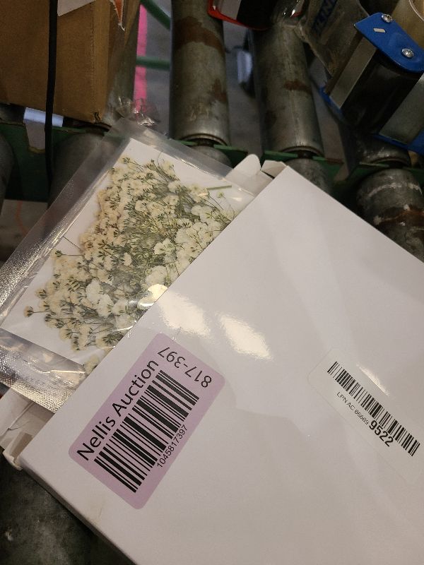Photo 1 of 300 Pcs Dried Babys Breath Flowers Bulk Ivory White Babys Breath Real Pressed Flowers Natural Gypsophila for Resin Wedding Art Craft DIY Invitations Scrapbooking Card Making