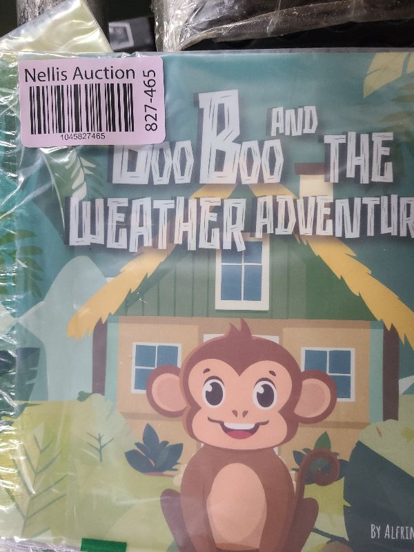 Photo 1 of "Boo Boo and the Weather Adventures"