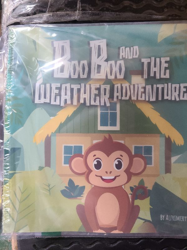Photo 1 of "Boo Boo and the Weather Adventures"