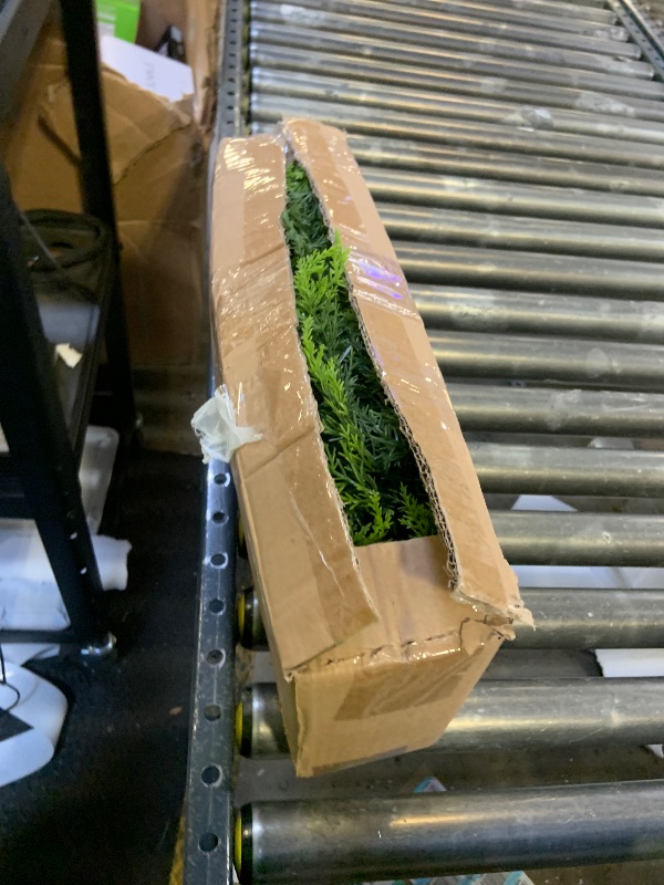 Photo 1 of Christmas decorations