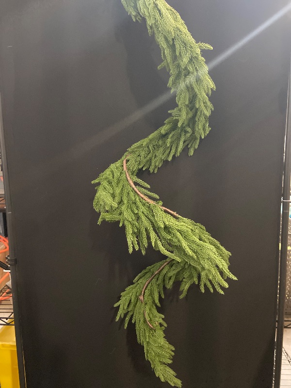 Photo 1 of 6 Ft Christmas Artificial Norfolk Garland, Real Touch Pine Garland, Natural Droopy, Soft Garland Christmas Decorations, Artificial Greenery Garland for Christmas Table Wall Decorations Outdoor (1)
