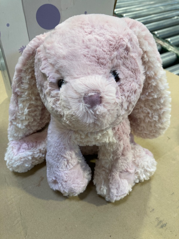 Photo 1 of GUND Cozys Collection Bunny Stuffed Animal, Spring Decor, Plush Bunny for Ages 1 and Up, Pink, 10"