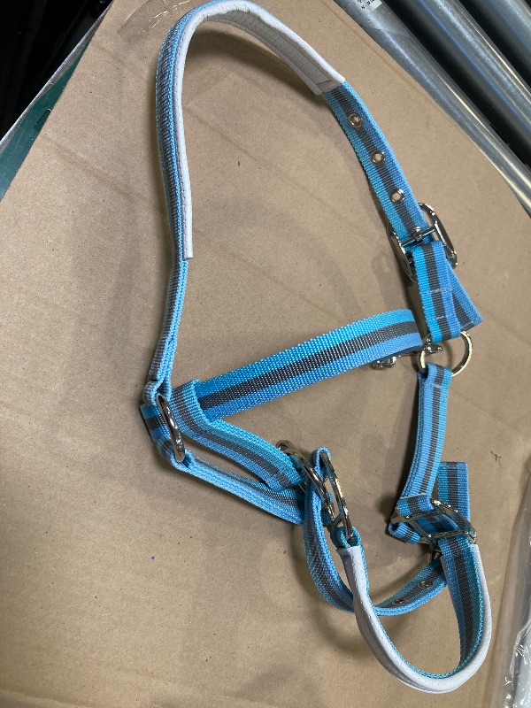 Photo 1 of Hilltown Adjustable Horse Halter with PP Webbing, Durable Breakaway Halters for Horses with Zinc Alloy Hardware, Horse Training Equipment to Prevent Friction for Training, Competitions, Daily (Blue)