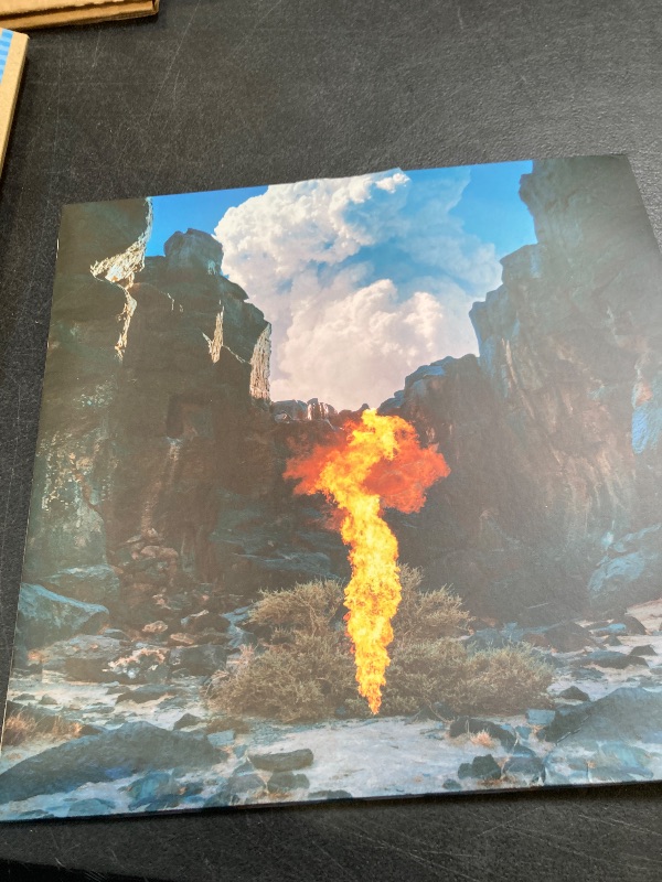 Photo 1 of bonobo -Migration