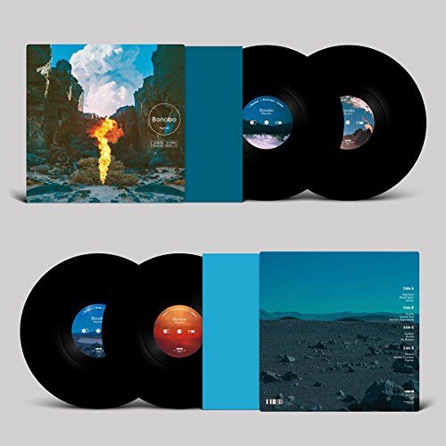 Photo 1 of bonobo -Migration