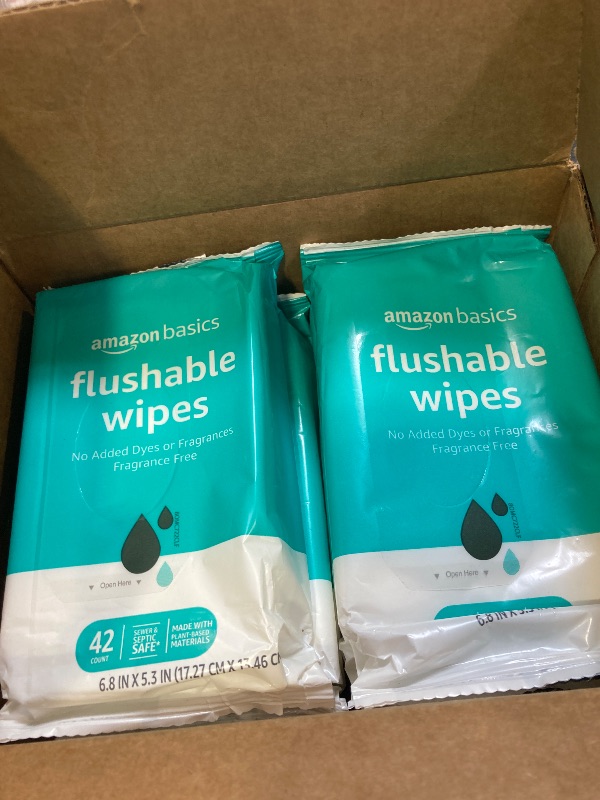 Photo 1 of Amazon Basics Flushable Adult Toilet Wipes, Fragrance Free, 42 Count (Pack of 8) (Total 336 wipes) (Previously Solimo)