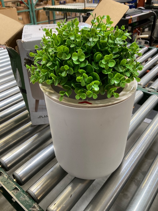 Photo 1 of Earth & Mango Small Bathroom Trash Can with Lid, Small Bathroom Garbage Can with Plant Style Lid, 1.8 Gallon, White, Perfect for Bedroom, Office, and Bathrooms, Trash Bin That Looks Like a Plant
