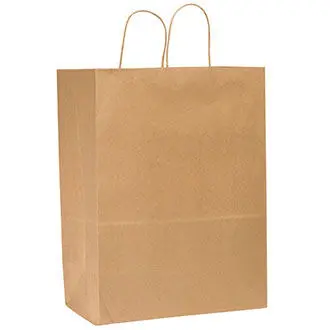 Photo 1 of Kraft Paper Shopping Bags w/ Handles 