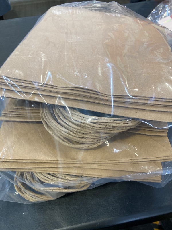 Photo 1 of Kraft Paper Shopping Bags w/ Handles 