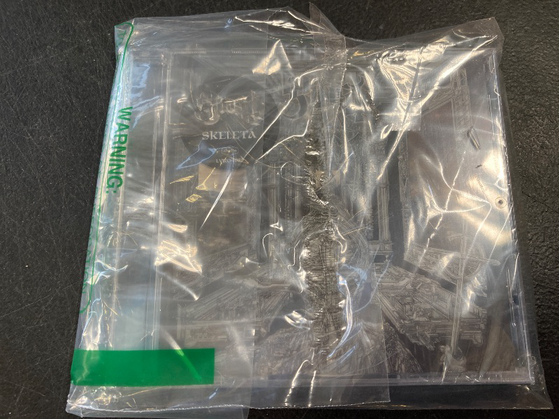 Photo 1 of Skelet?