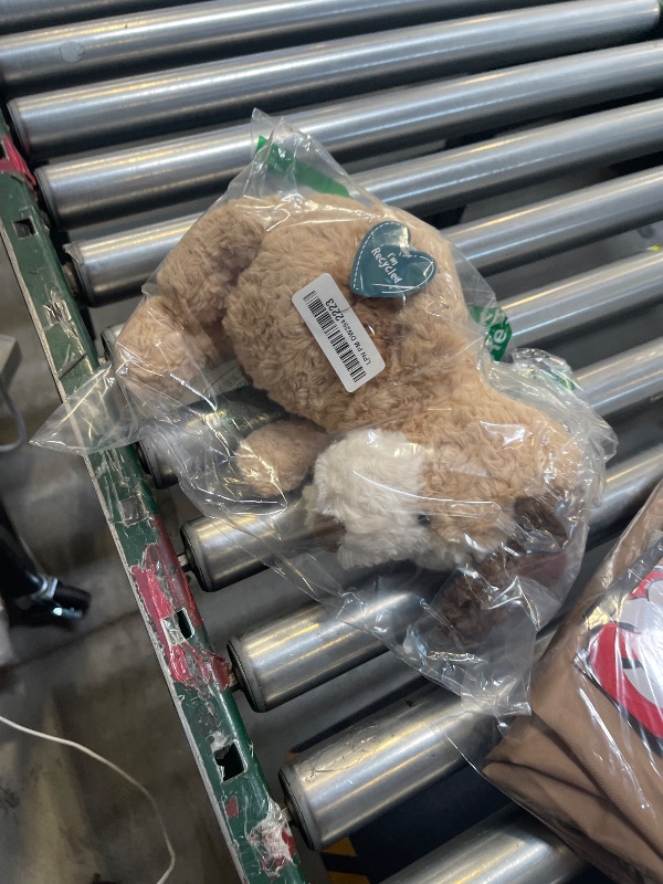 Photo 1 of GUND Pinchy Teddy Bear, Premium Stuffed Animal for Ages 1 and Up, Brown, 17”