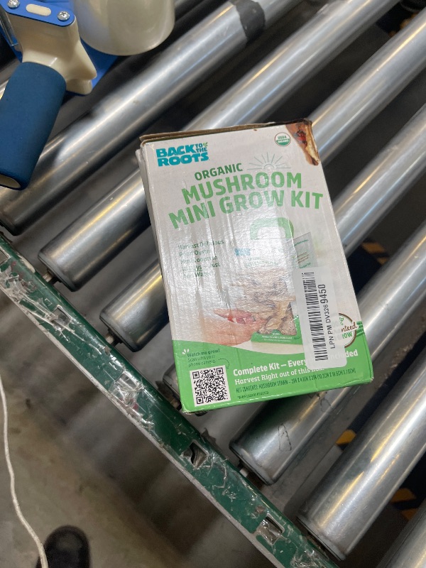 Photo 1 of Back to the Roots Organic Mini Mushroom Grow Kit, Harvest Gourmet Oyster Mushrooms In 10 days, Top Gardening Gift, Holiday Gift, & Unique Gift