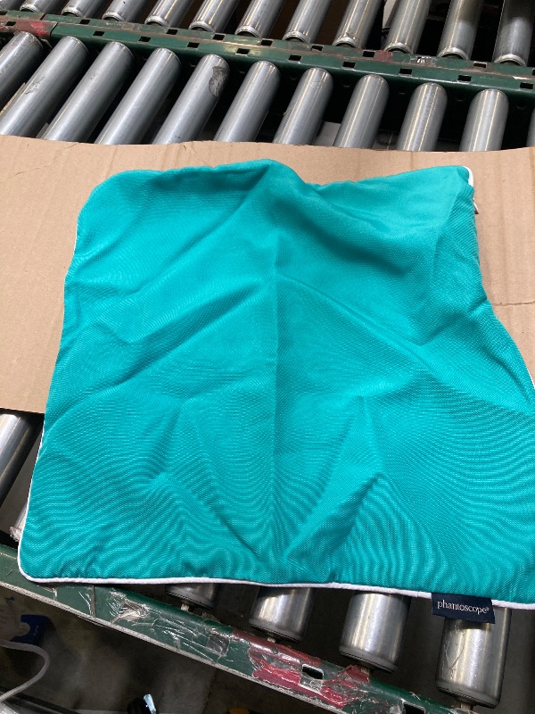 Photo 1 of Cushion Cover 1 Pack 