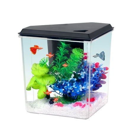 Photo 1 of Aqua Culture Plastic 1 Gallon Aquarium with Accessories Black 10.1 L X 6.76 W X 8.12 H