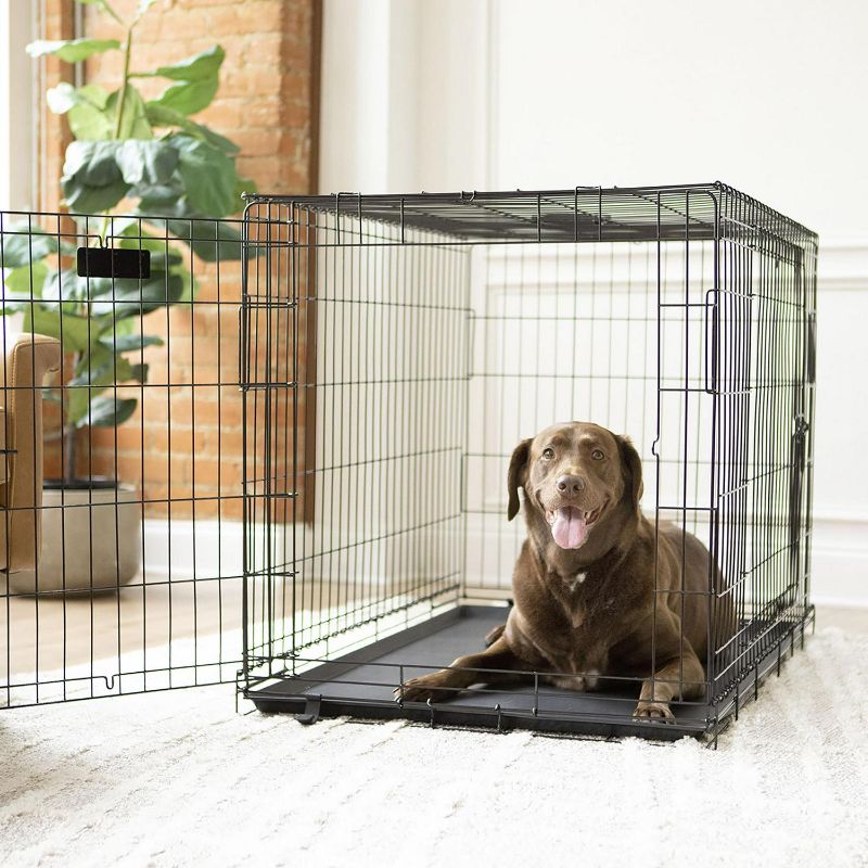 Photo 1 of Vibrant Life Double Door Metal Wire 42 Dog Crate Leak-Proof Pan and Divider for Dogs Upto 90 Lb