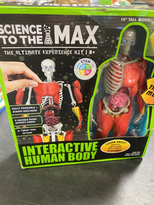 Photo 1 of Be Amazing! Toys Interactive Human Body - 60 Piece Fully Poseable Anatomy Figure – 14” Tall Model - Anatomy Kit – Removable Muscles, Organs,Bones STEM Toy – Ages 8+