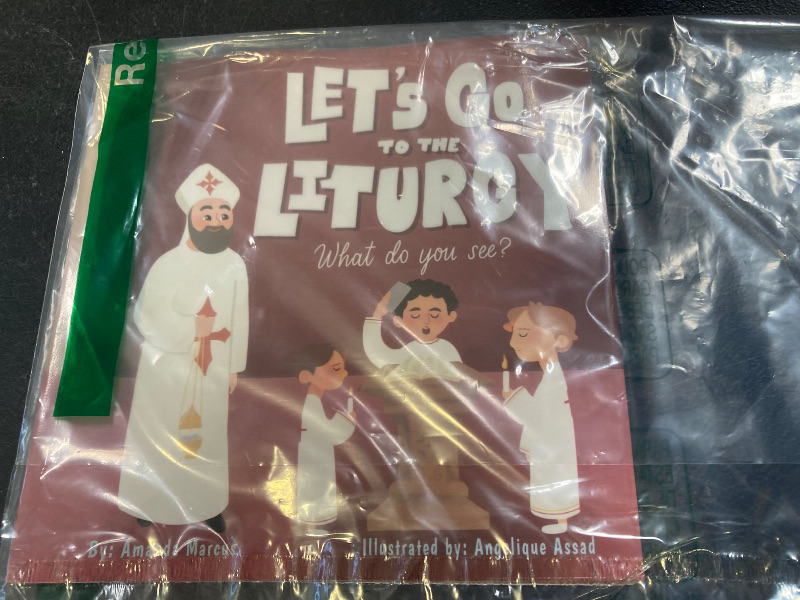 Photo 1 of Let's go to the Liturgy: What you see?
