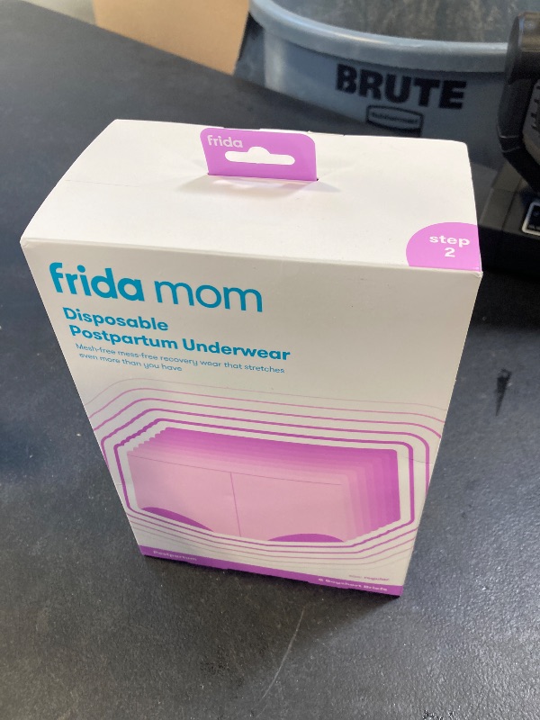 Photo 1 of Frida Mom Women's Postpartum Underwear, Disposable Boyshort Underwear, Seamless with Stretchy Support, Postpartum Essentials, Size Regular (Waist 28"-42" Stretched), 8 Count, Grey