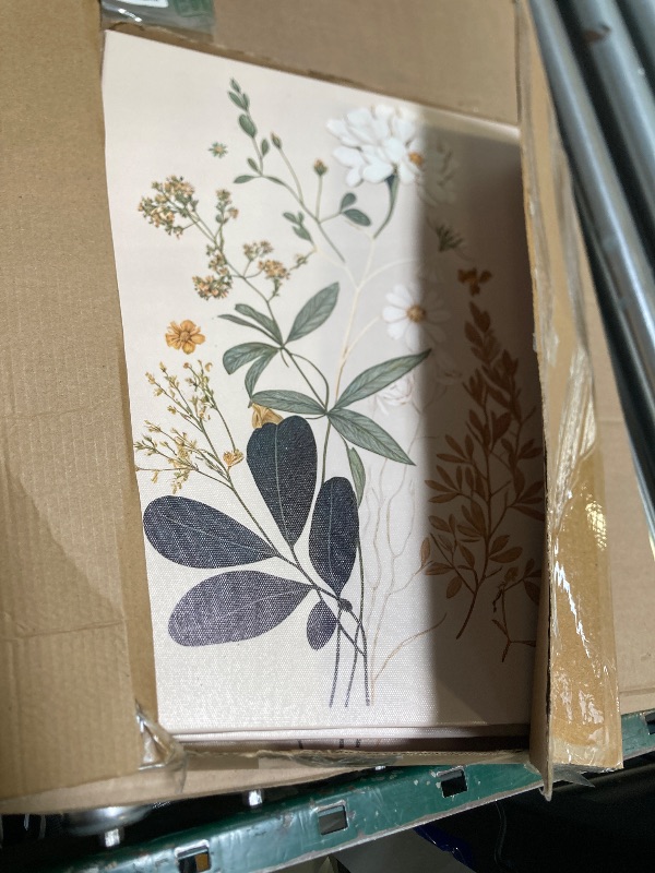 Photo 1 of 3 Pcs Vintage Botanical Wall Art Nature Floral Plants Wall Decor Daisies Dandelion Wildflower Posters Pictures Watercolor Rustic Farmhouse Canvas Prints Boho Neutral Paintings For Living Room Framed