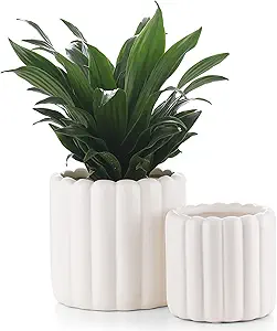 Photo 1 of Ceramic Plant Pots - Cream White 6 inch Planters with Drainage Holes and Mesh Pad, Modern Flower Pots for Indoor & Outdoor Plants,Home & Office Decor Planter(6+4.7inch)