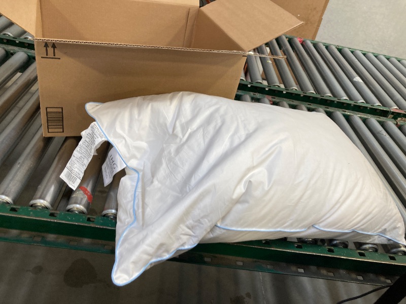 Photo 1 of IHG Touch of Down Pillow Soft QUEEN SIZE International Hotel Group