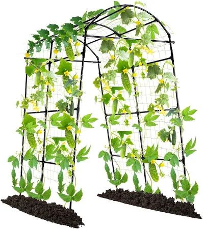 Photo 1 of Lalahoni Garden Arch Trellis for Climbing Plants Outdoor, 7 ft Tall Walkway Metal Archway Arbor Tunnel Large for Vegetables Plant Cucumber