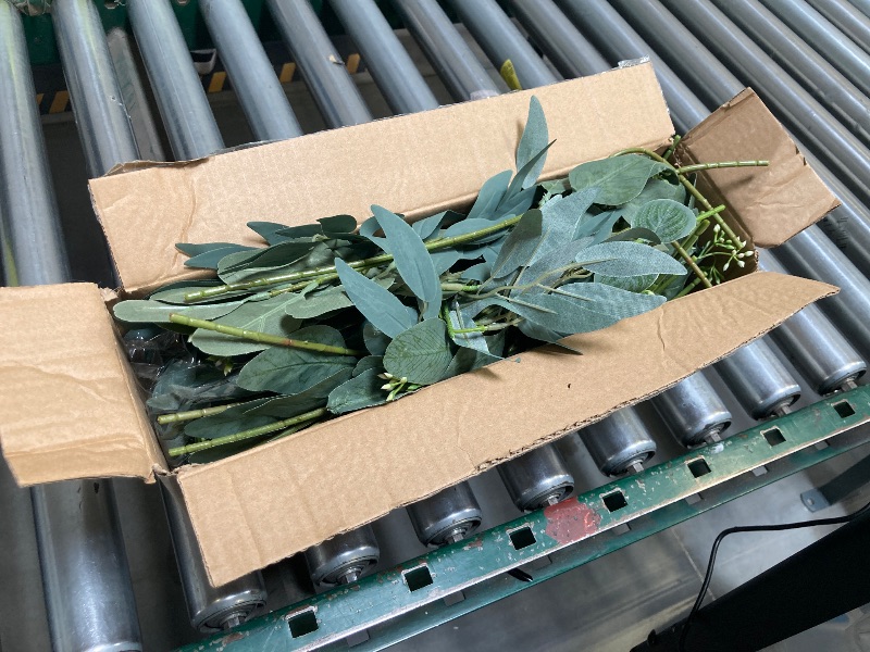 Photo 1 of 120 Pcs 4 Kinds Mixed Artificial Eucalyptus Leaves Stems Bulk Fake Silver Dollar Eucalyptus Bundle Faux Plants Greenery for DIY Bouquets Floral Arrangement Wedding Engagement Party Decor (Green)