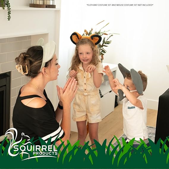 Photo 1 of Squirrel Products Lion Headband Ears Costume Accessory, One Size Fits All Ages 3+